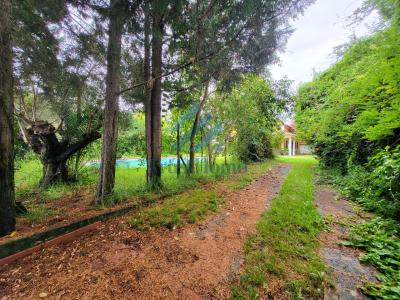 gallery-2