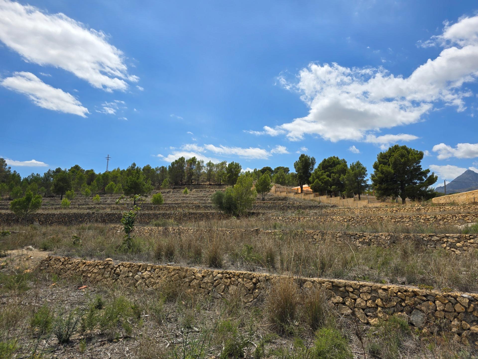 Terreno urbanizável