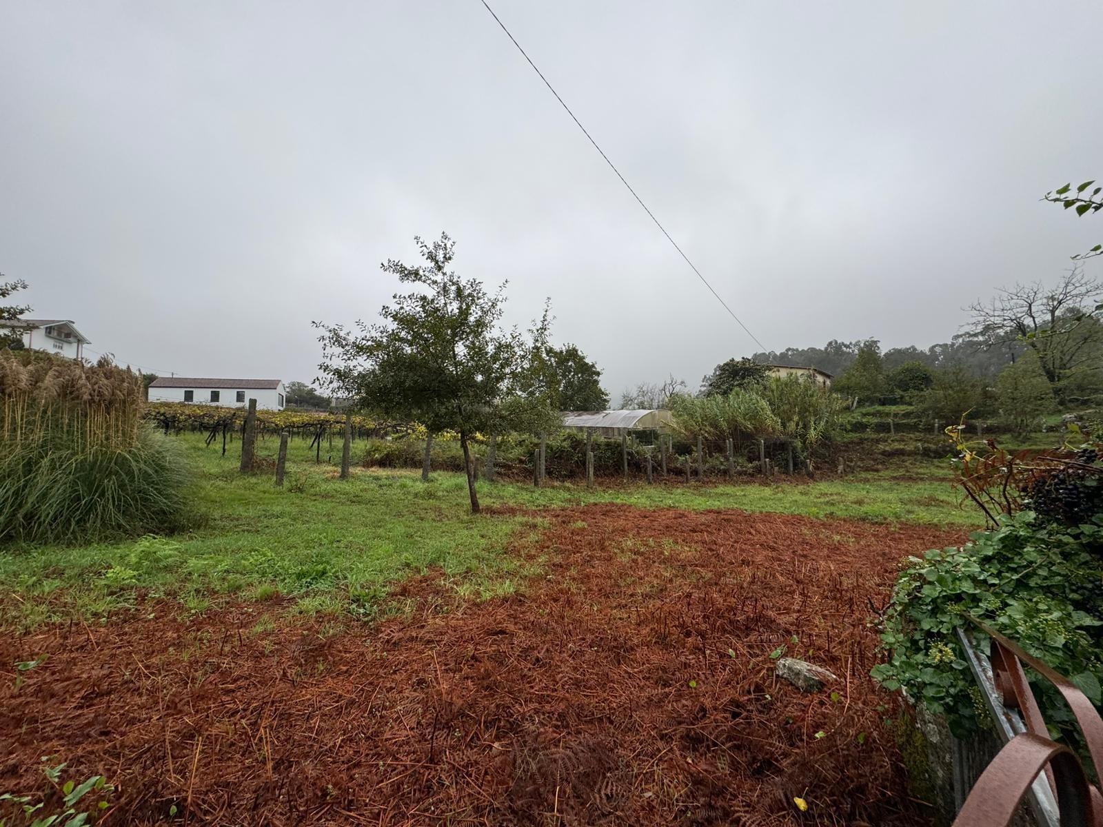 Terreno urbanizável