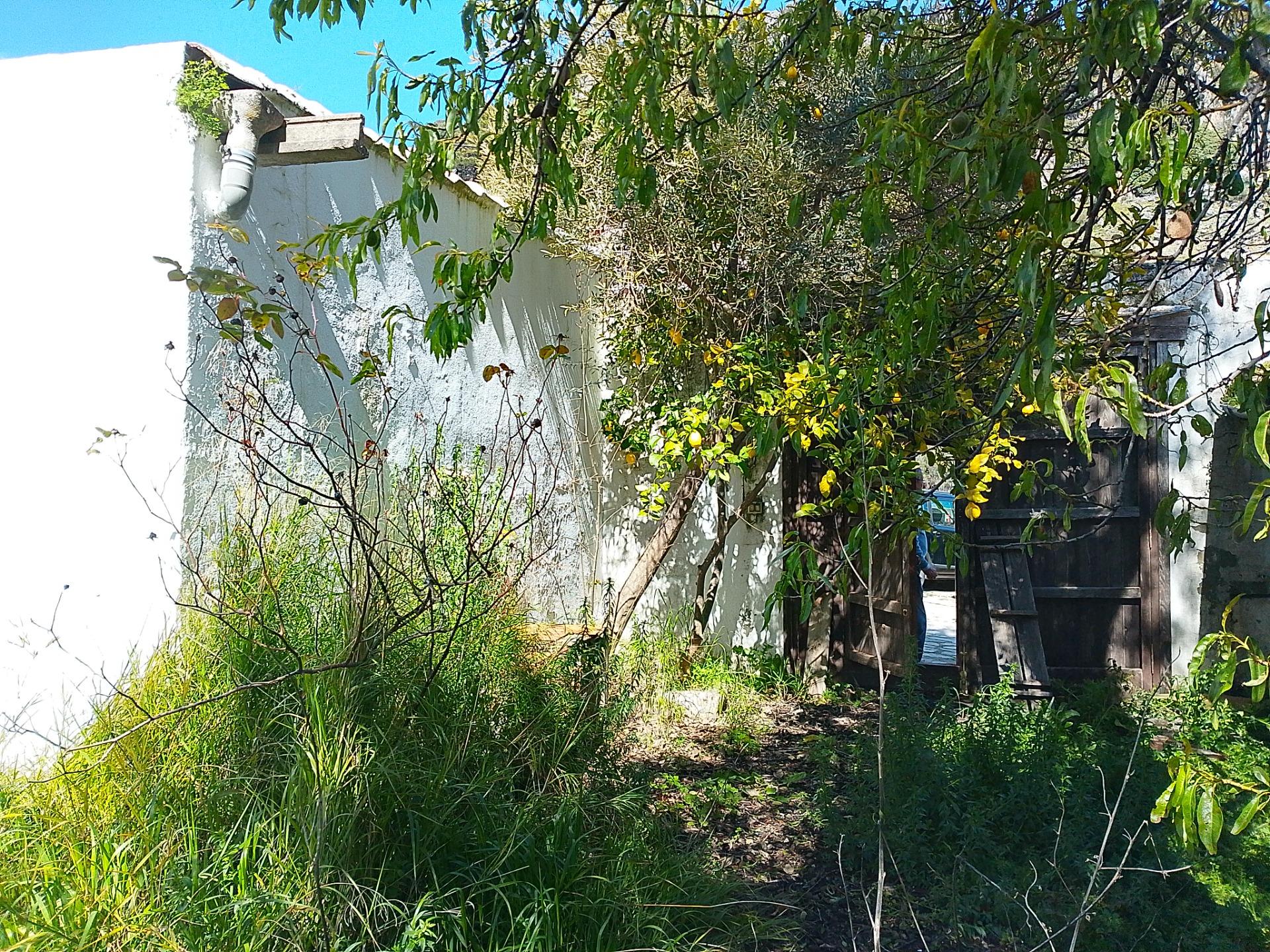 Terreno urbano